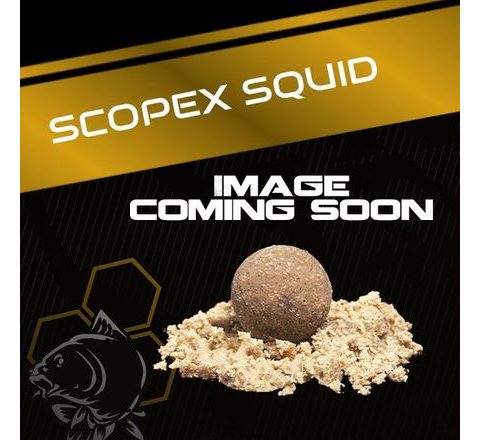 Nash Krájané boilies Scopex Squid Flake