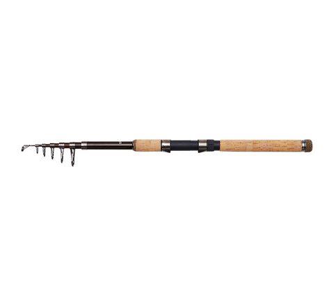 DAM Prut Backbone II Tele 80 2,7m 30-80g