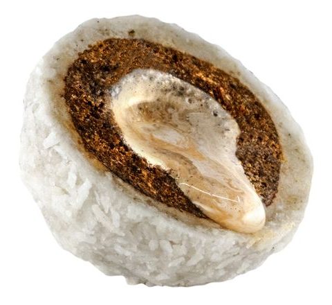 LK Baits Nutrigo Coco