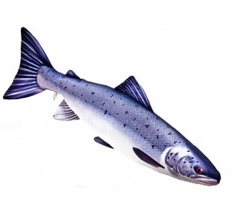 Gaby Polštář Losos obecný 90 cm