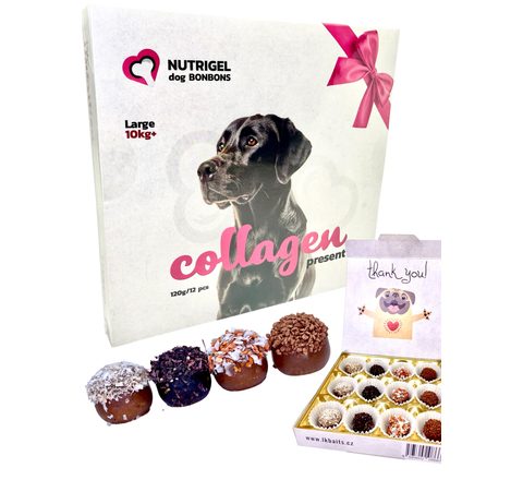 LK Baits Pet Kolagenová bonboinéra Nutrigel Collagen Bonbons pro větší psy 130g