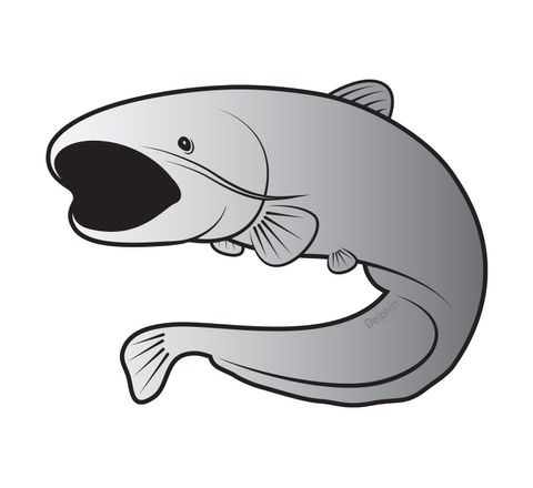 Delphin Nálepka sumec SILVER