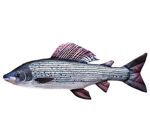 Gaby Polštář Lipan 65 cm