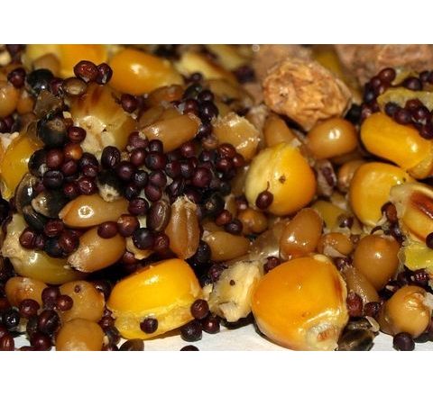 Amino Mix Vařená kukuřice 1kg