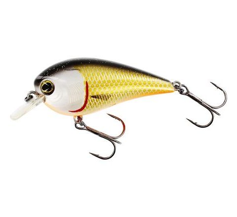 Westin Wobler BassBite Squarebill Floating Official Roach