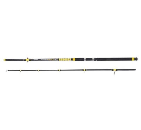 Mivardi Prut Fanatic Catfish 2,4m 200-400g