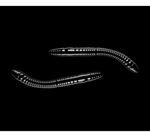 Libra Lures Fatty D’Worm Black
