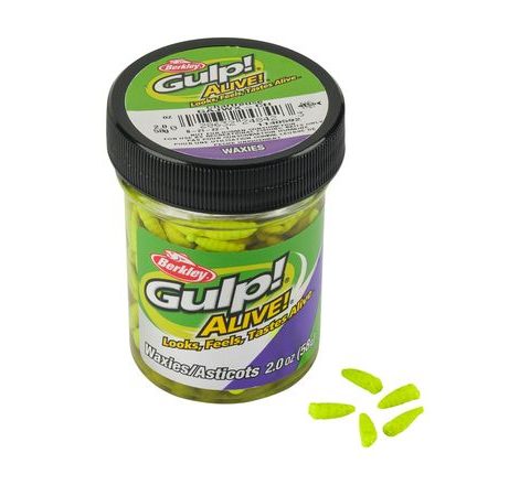Berkley Červi Gulp! Alive! Waxies