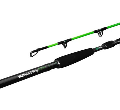 Delphin Prut Walkyra 3,00m 850g