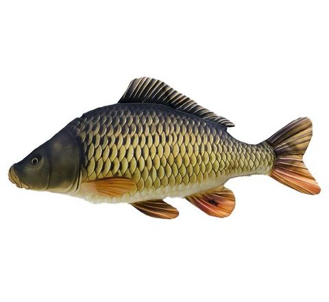 Gaby Polštář Kapr mini šupináč 36 cm