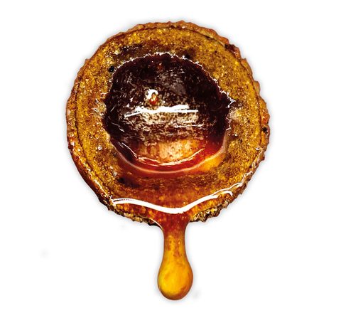 LK Baits Nutrigo Extra Plankton