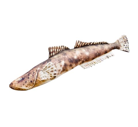 Gaby Polštář Ploskohlavec tmavý 102cm