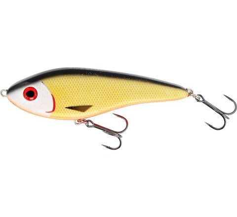 Westin Wobler Jerk Official Roach