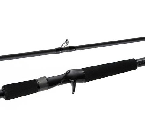 Fox Rage Prút Prism X Big Bait Extreme 2,4m 200g
