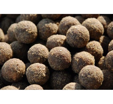 LK Baits Boilie Fish Activ 20mm 250ml