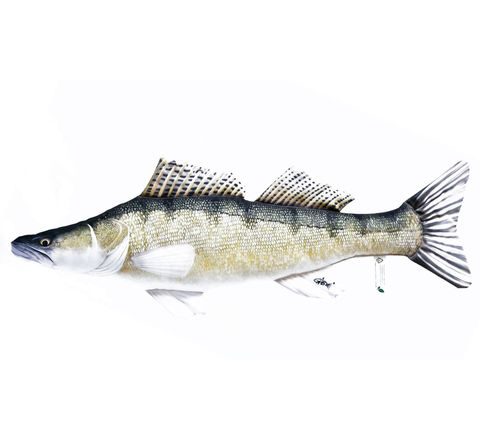 Gaby Polštář Candát obecný 75 cm