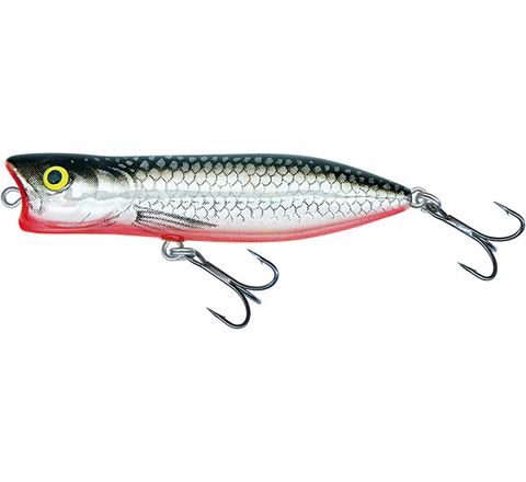 Salmo Wobler Rover Floating 7cm