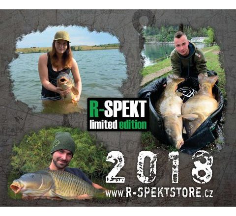 R-Spekt Nástěnný kalendář R-SPEKT 2018