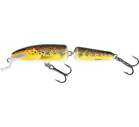 Salmo Wobler Fanatic Floating Trout