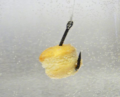 Chytil Pařený rohlík 10mm 50g