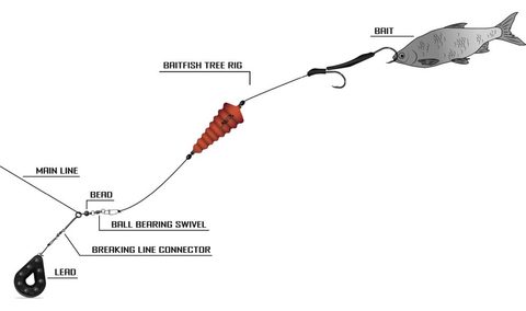 Black Cat Návazec Baitfish Tree Rig 2m