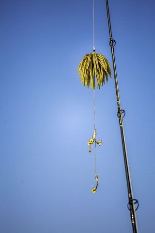 Black Cat Gumová nástraha Real Worm Teaser Žltá