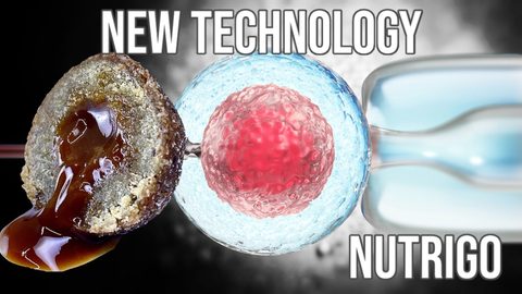 LK Baits Pet Doplněk stravy Nutrigo Dog Supplement Plantago Sirup