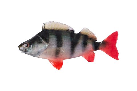 Fox Rage Gumová Nástraha Ultra Natural Perch Fillet 4ks