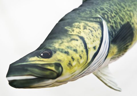 Gaby Vankúš Pávie mramorované 100 cm