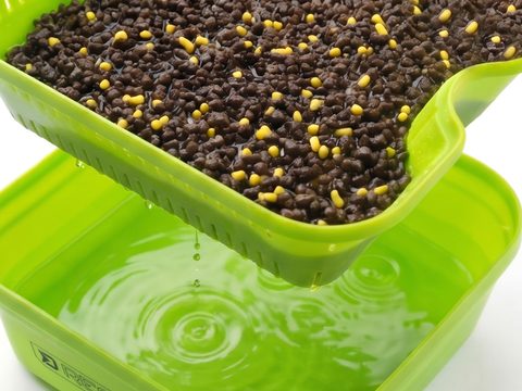 Delphin Box na namáčanie peliet Reaxe BST 1,8L