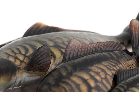Fox Rage Gumová nástraha Ultra-Realistic Mirror Carp Replicant