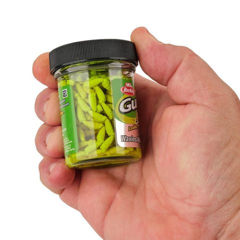 Berkley Červi Gulp! Alive! Waxies