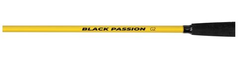 Black Cat Prut Black Passion G2 Spin 2,4m 200g