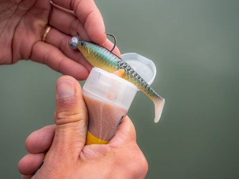 Berkley Gumová nástraha PowerBait Cullshad Blue Pearl