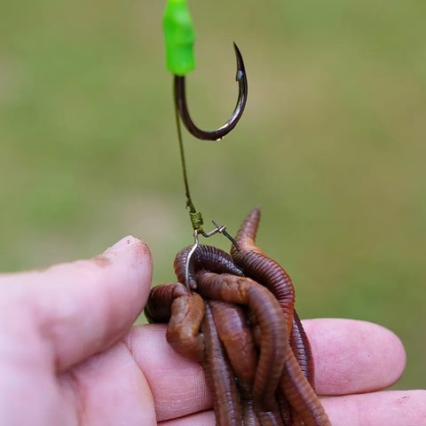 Zeck Držák na nástrahy Worm Clip Hair-Rig