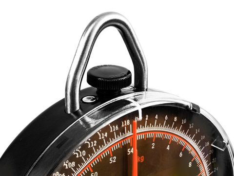 Delphin Mechanická váha Jumbo 54kg