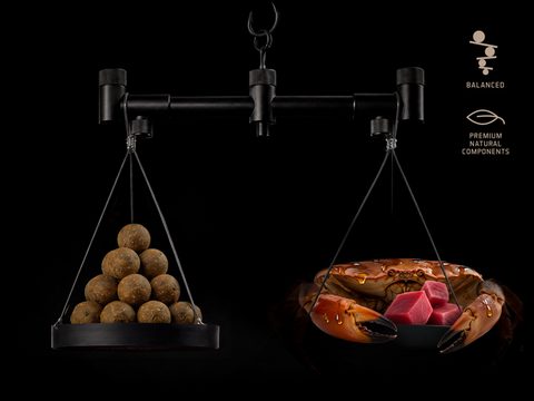 Delphin Vyvážené boilies BreaX/MonstaFISH Monster Krab-Tuňák 100g