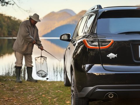 Delphin 3D nálepka Carp chrom