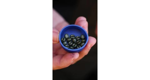 Carp´R´Us Zátěžové broky Camo Shotz Green