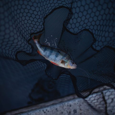 Zeck Podběrák Folding Rubber Net L