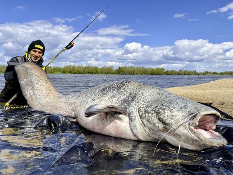 Black Cat Prút Perfect Passion XH-S 3,00m 350g