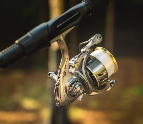 Giants fishing Navijak GXF Reel 3000FD