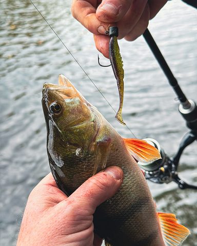 Fox Rage Jigová hlava Micro Ned Heads Camo 1/0 5ks