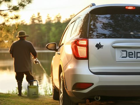 Delphin 3D nálepka Pike