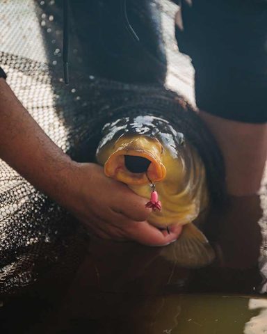 Fox Návazec Illusion Fluoro D Rig 3ks