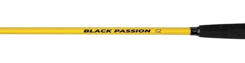Black Cat Prut Black Passion G2 Spin 2,7m 200g