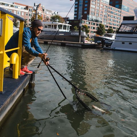 Zeck Podběrák Folding Rubber Tele Net