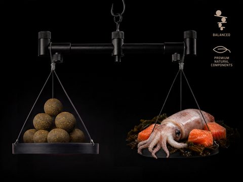 Delphin Vyvážené boilies BreaX/SeaKER Oliheň-Losos 100g