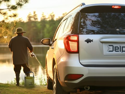 Delphin 3D nálepka Carp černá