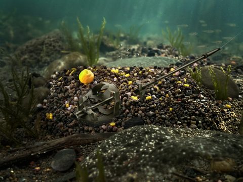 Delphin Pellet box Reaxe Ready&Go 400g